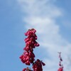 天に向かって