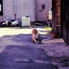 う〜っ。