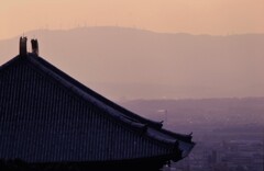 大仏殿の向こうに生駒山を望む