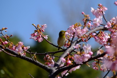 ちょっとまぶしい。。