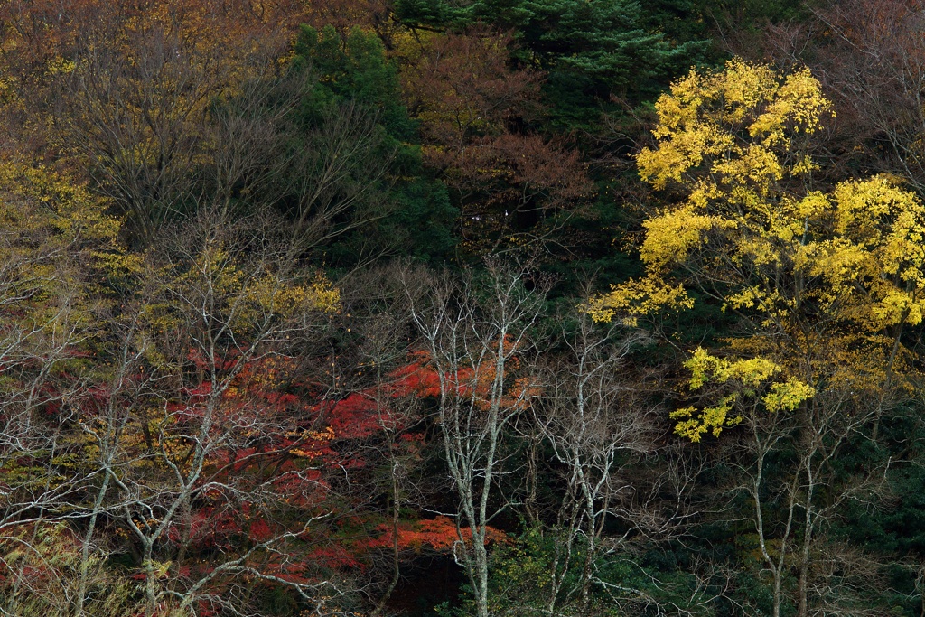 静かな冬の侵蝕