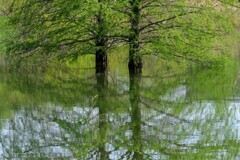 水に浮かぶ