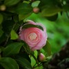 覗き見