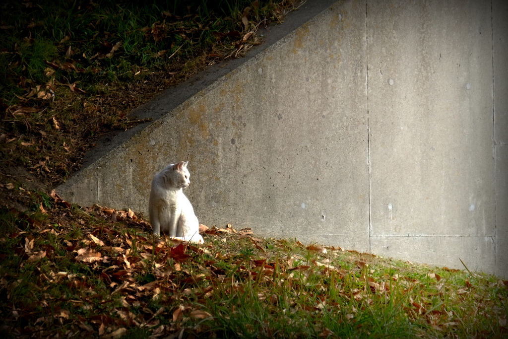 そっちは眩しいよ・・・