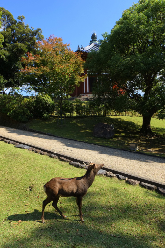 ええ天気やのぉ