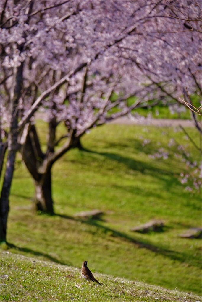 うっとり