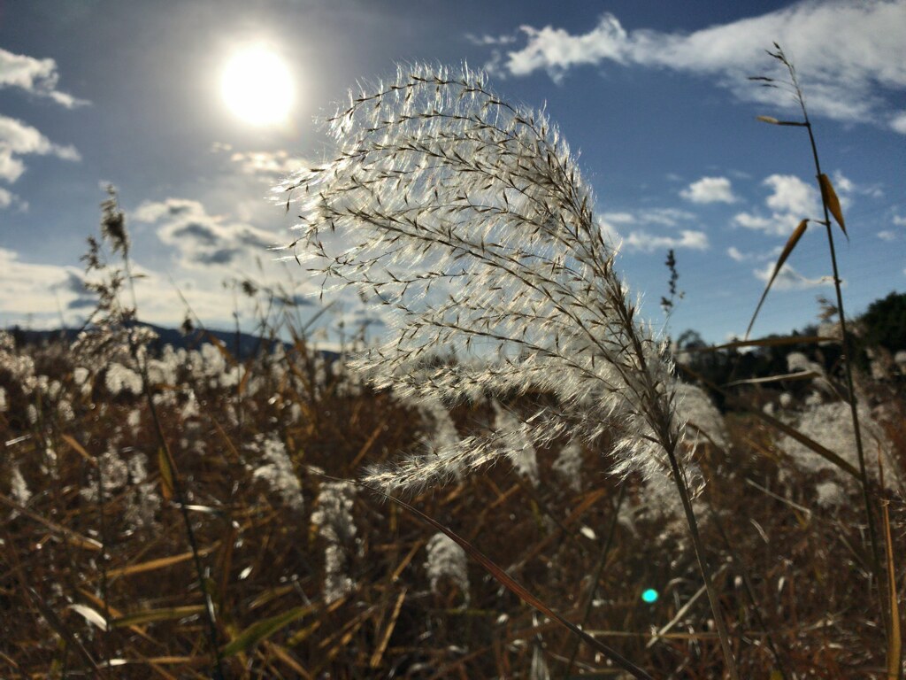 光球を受けとる