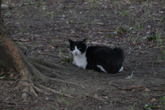 ③ごはん、もってきてるんだろな？