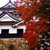 この国宝には彩りが似合う