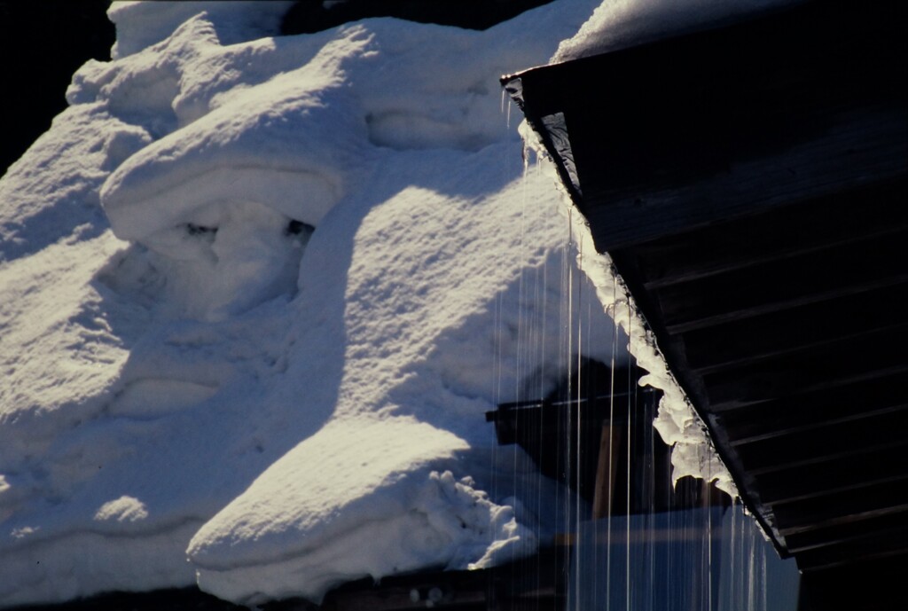 雪解けシャワー