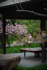 桜の東屋
