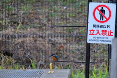 そこ、立入禁止ですよ