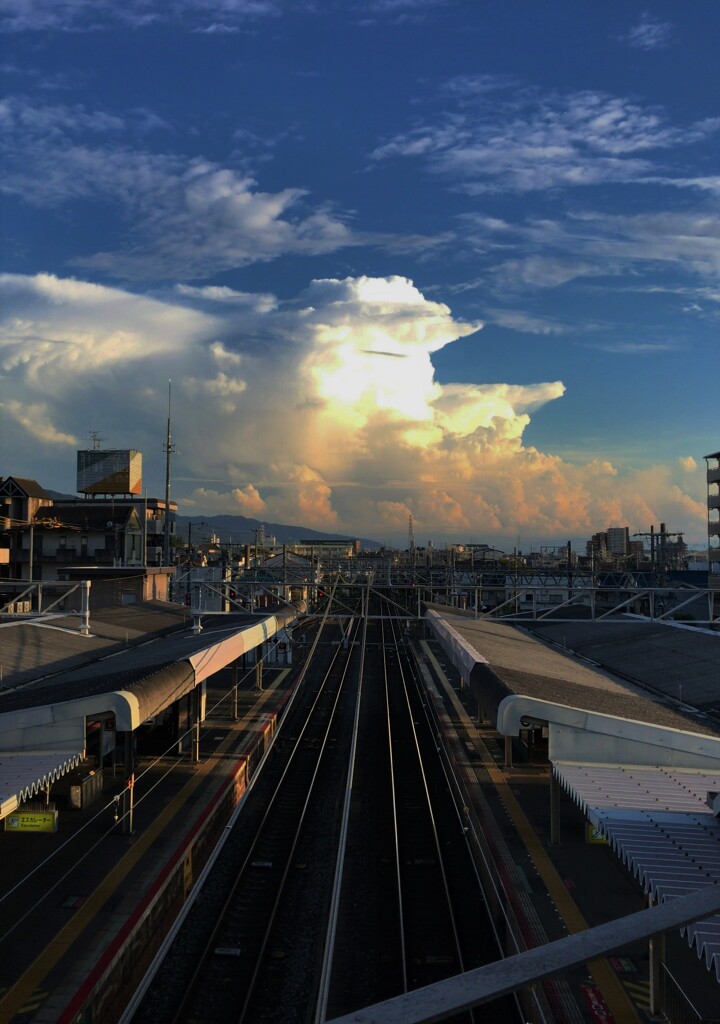 あの雲に向かって