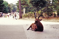 ベテラン門番