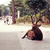 ベテラン門番