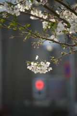 静止