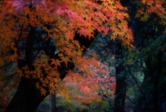 このくらいが程よい。