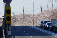 片方向渋滞