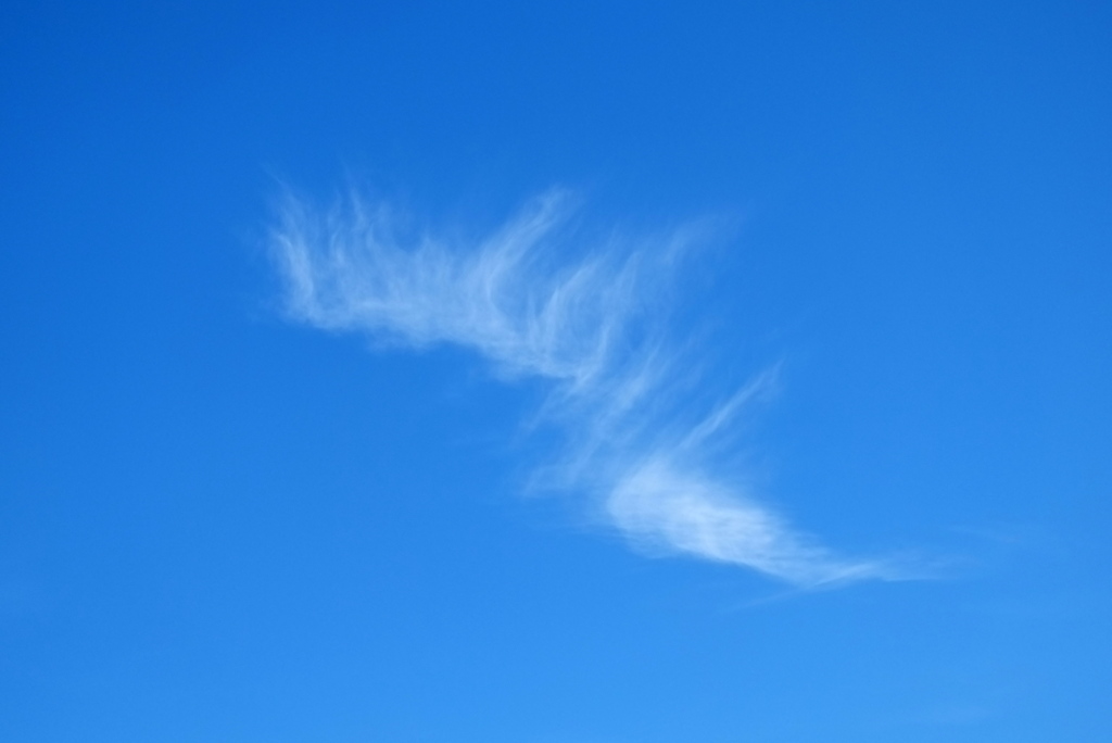空に翼