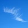 空に翼