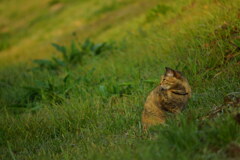 いつもと変わらぬ一日が始まる