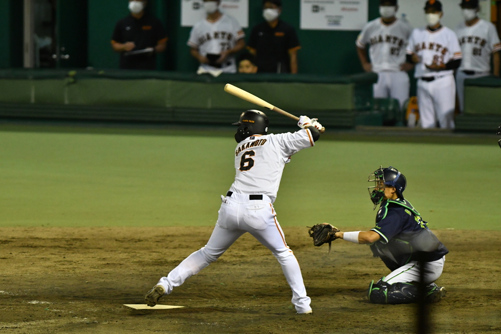 巨人軍　キャプテン　坂本隼人選手