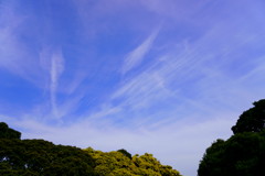 山下公園の空