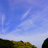 山下公園の空