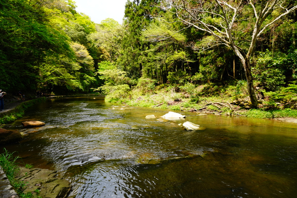 養老渓谷の川