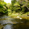 養老渓谷の川