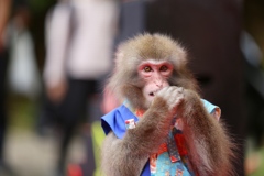 8FC83BFB-B772-4587-AA8E-230733DF1C49