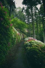 6D16EB06-7481-48CA-B693-7685BC2A44EE