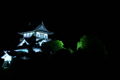 夜の犬山城