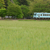 一乗谷DISCOVERY　PROJECT