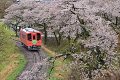 美濃里号　登場