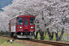 さくらとながてつ　②