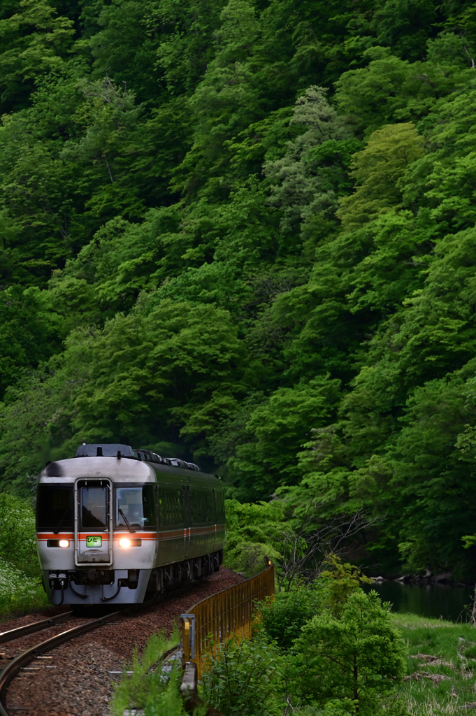 雨の飛越路