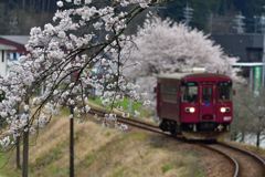 桜とながてつ