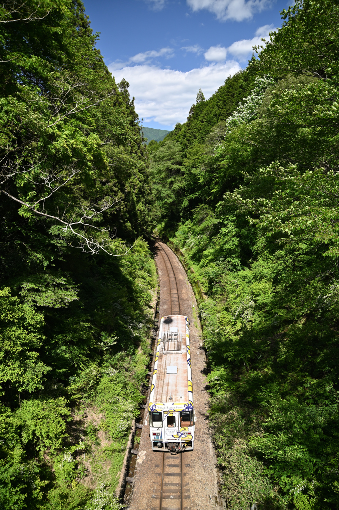 青と緑の谷あい