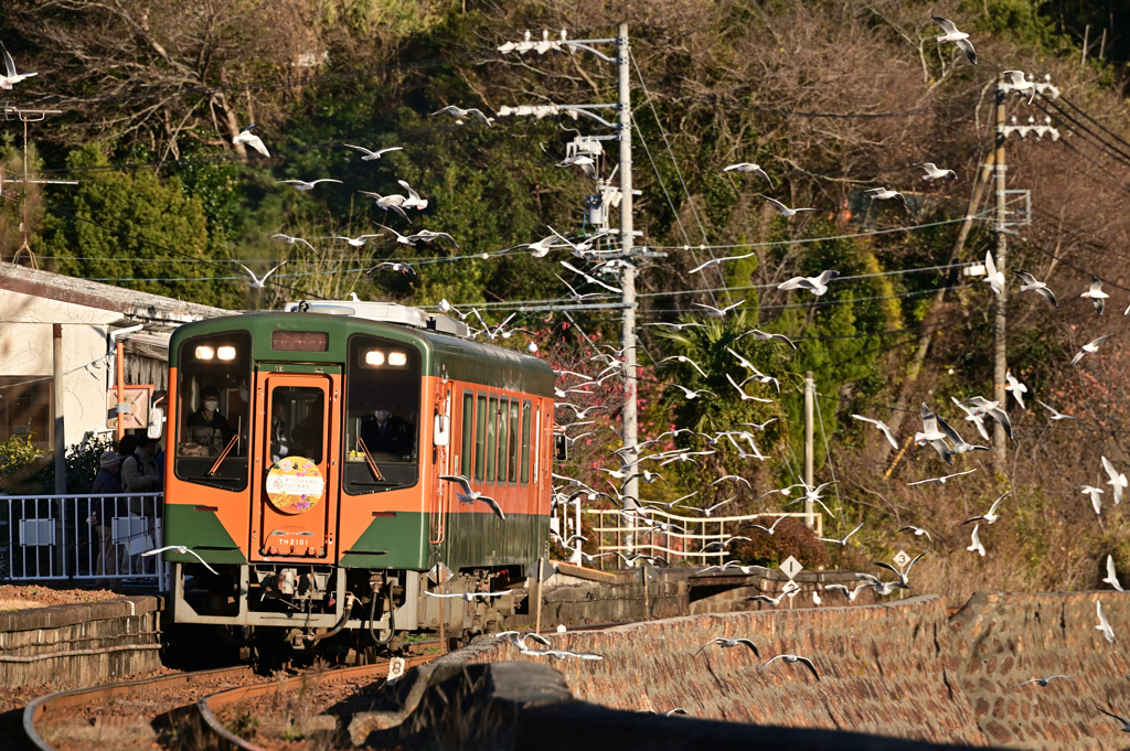 かもめの駅