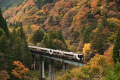 紅葉と第13益田川橋梁