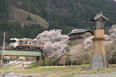 灯篭とさくら