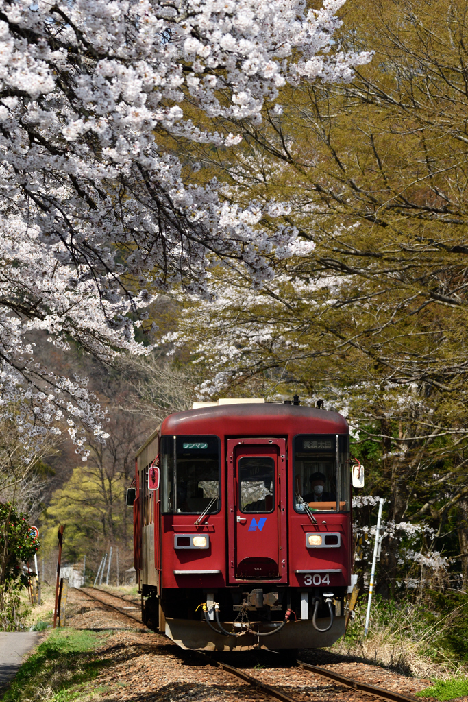 今年は、早かったですね