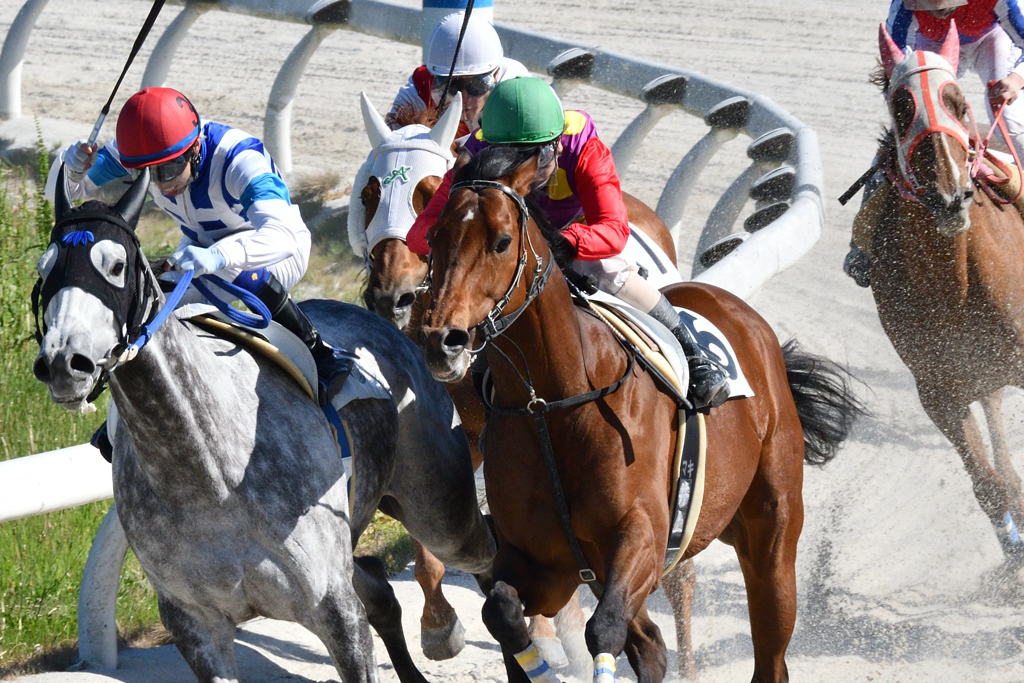 笠松競馬場