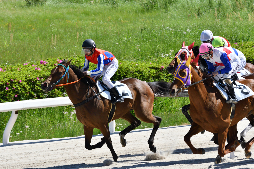 笠松競馬場　3