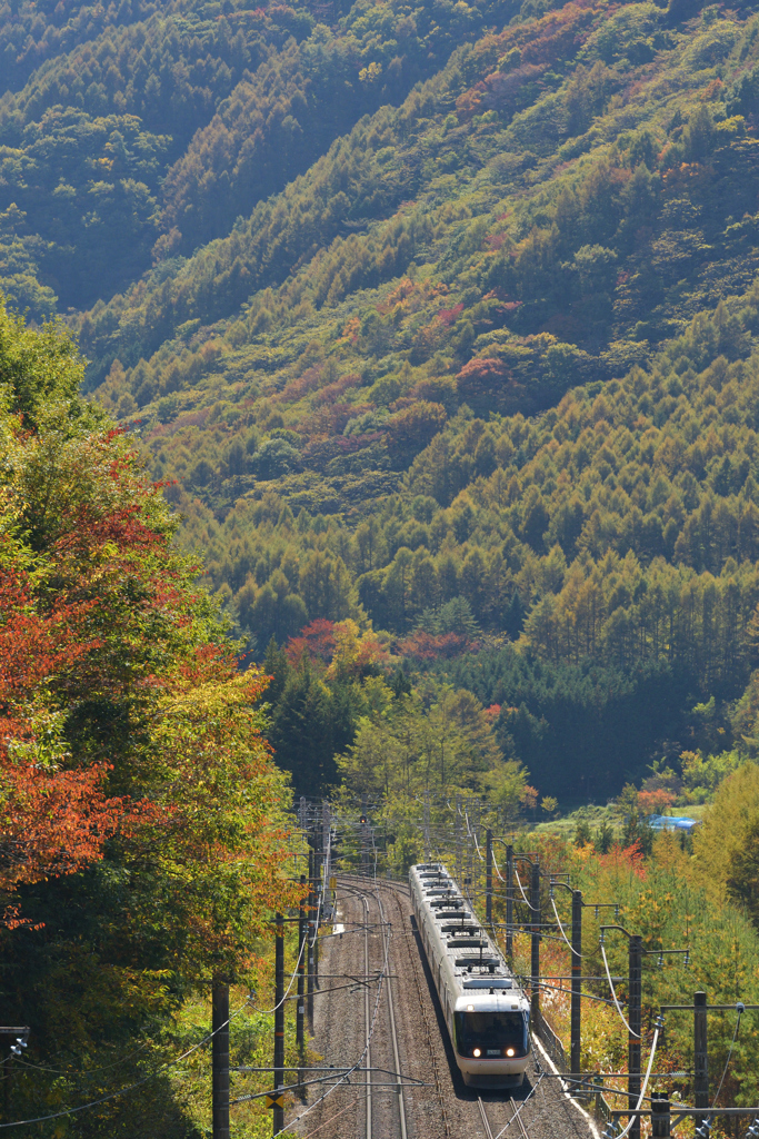 紅葉と383系