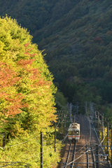 紅葉の木曽路　壱