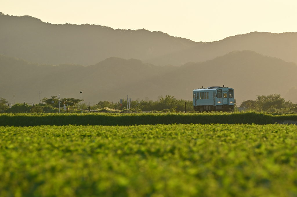 夏の夕暮れ