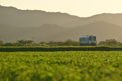 夏の夕暮れ