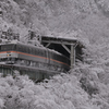 大雪のワイドビュー